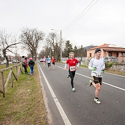 15. Mali kraški maraton 2015
