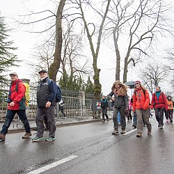 15. Mali kraški maraton 2015