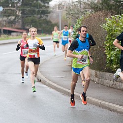 15. Mali kraški maraton 2015