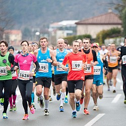 15. Mali kraški maraton 2015