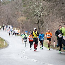 15. Mali kraški maraton 2015
