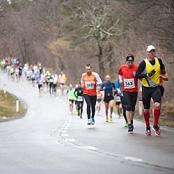15. Mali kraški maraton 2015