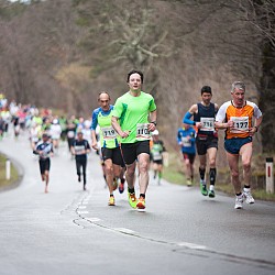 15. Mali kraški maraton 2015