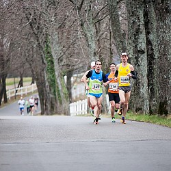15. Mali kraški maraton 2015