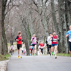 15. Mali kraški maraton 2015