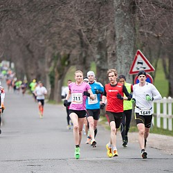 15. Mali kraški maraton 2015