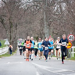 15. Mali kraški maraton 2015