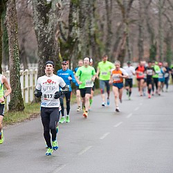 15. Mali kraški maraton 2015